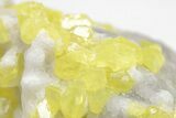 Sulfur Crystals on Fluorescent Aragonite - Italy #208737-3